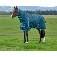Produktbild von WeatherBeeta Weidedecke Comfitec Limited Edition Turnout Detach-A-Neck für Pferde Größe 150 mit 220g Füllung