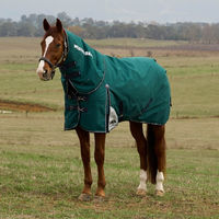 Produktbild von WeatherBeeta Weidedecke Comfitec Plus Dynamic Turnout Detach-A-Neck 360g Größe 155 Forest Green/Navy