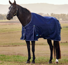 WeatherBeeta Weidedecke Comfitec Prelim Turnout 0g Navy Embossed Plaid Größe 120 – Bild 1 von 1