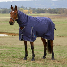 WeatherBeeta Weidedecke Comfitec Prelim Turnout Combo 0g Größe 140 Navy Embossed Plaid – Bild 1 von 1