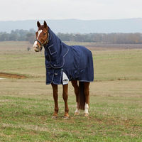 Produktbild von WeatherBeeta Weidedecke Comfitec Ultra Turnout Detach-A-Neck 220g Größe 125 Navy