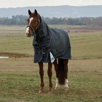 Produktbild von WeatherBeeta Weidedecke Comfitec Ultra Turnout Detach-A-Neck 360g Größe 140 Charcoal