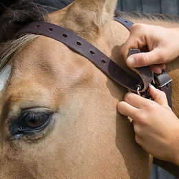 Weaver Leather Miracle Halsband aus Leder in Braun Größe S – Bild 1 von 4