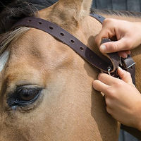 Produktbild von Weaver Leather Miracle Halsband aus Leder in Braun Größe S