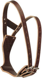 Weaver Miracle Lederhalfter für Pferde in Braun Größe M – Bild 1 von 6