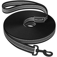 Produktbild von WELLGRO Schleppleine für Hunde aus Nylon mit Handschlaufe und reflektierendem Material Schwarz 3m