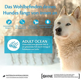 Wellness CORE Ocean Trockenhundefutter Lachs und Thunfisch für erwachsene Hunde, getreidefrei und hypoallergen, 1,8 kg - 1,8 kg – Bild 1 von 5
