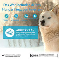 Produktbild von Wellness CORE Ocean Trockenhundefutter Lachs und Thunfisch für erwachsene Hunde, getreidefrei und hypoallergen, 1,8 kg - 1,8 kg