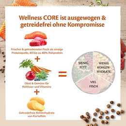 Wellness CORE Sterilised Ocean Katzenfutter Trockenfutter Lachs für erwachsene Katzen getreidefrei 4 kg - 4 kg – Bild 1 von 4