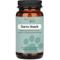 Produktbild von WELLSANA Darm-Snack Hund Nahrungsergänzungsmittel Insekt Glutenfrei Adult