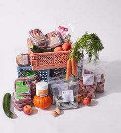Welpenbox Fertigbarf und Kauspaß für Welpen mit Rind, Huhn, Lamm, Fisch und Ente – Bild 1 von 2