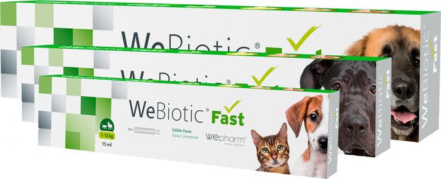 Wepharm WeBiotic Fast Probiotika Paste für die Magen-Darm-Verdauung 60 ml – Bild 1 von 2
