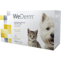 Produktbild von Wepharm WeDerm Kapseln 60 Stück