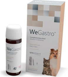 Wepharm WeGastro Magen-Darm-Flüssigkeit 60 ml – Bild 1 von 3