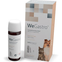 Produktbild von Wepharm WeGastro Magen-Darm-Flüssigkeit 60 ml