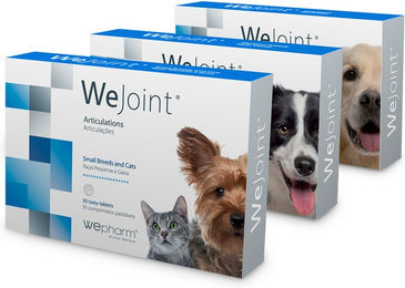 Wepharm WeJoint Gelenk-Supplement für mittelgroße Hunde aller Altersstufen 30 Tabletten – Bild 1 von 3