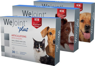 Wepharm WeJoint Plus Gelenk-Supplement für mittlere Hunde 30 Tabletten – Bild 1 von 2
