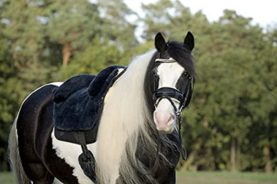 Werner Christ Fellsattel Iberica Plus baumloser Lammfellsattel für Shetty in Anthrazit – Bild 1 von 5