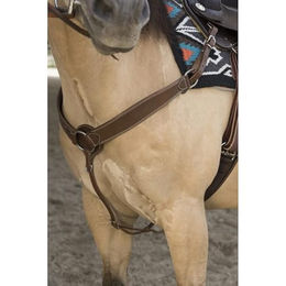 Produktbild von Westride by Franck Perret Vorderzeug Billy für Warmblut aus Leder in Braun mit Messingschnallen