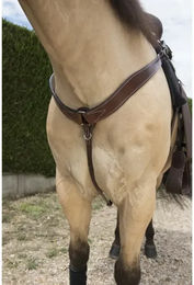 Produktbild von Westride Jagdgeschirr Western aus Leder in Braun