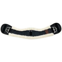 Produktbild von Westride Sattelgurt aus Polyester in Schwarz