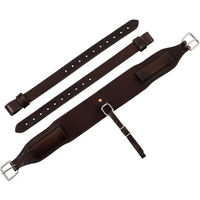 Produktbild von Westwood Sattelgurt aus Leder für Pferde in Braun