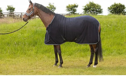Produktbild von Wetterfeste Pferdedecke aus Velours von Harry's Horse in Blau oder Schwarz