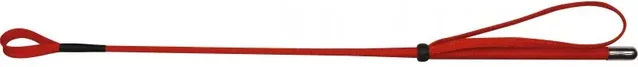 Whip And Go Peitsche aus Fiberglas in Rot 53 cm – Bild 1 von 2