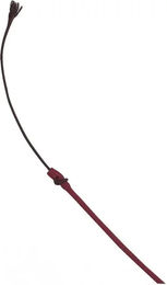 Produktbild von Whip & Go Dressurgerte aus Nylon in Rot 120 cm