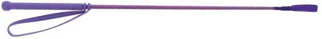 Whip & Go New Six Reitgerte aus Nylon in Violett und Rosa – Bild 1 von 2