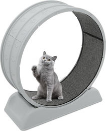 Whis Katzen Laufrad Grau mit weichem Teppich und geräuscharmem Rollendesign aus PP und Harz – Bild 1 von 1