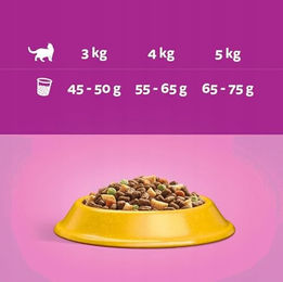 Whiskas Adult Katzentrockenfutter Huhn für erwachsene Katzen 6 x 300 g - 2 x 300 g – Bild 1 von 4