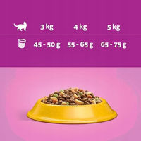 Produktbild von Whiskas Adult Katzentrockenfutter Huhn für erwachsene Katzen 6 x 300 g - 2 x 300 g