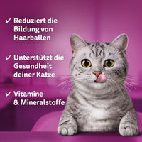 Produktbild von Whiskas Anti-Haarball Katzensnacks Huhn für adulte Katzen 6 x 50g - 6 x 50 g