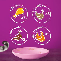 Whiskas Junior Katzenfutter Nassfutter Kitten Geflügel Auswahl in Gelee 48 x 85g – Bild 1 von 2