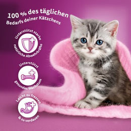 Whiskas Junior Kitten Futter Huhn mit Kroketten 14 kg - 2 x 7 kg – Bild 1 von 2