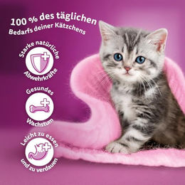 Whiskas Junior Kitten Nassfutter Geflügel Stückchen in Gelee Multipack 12 x 85g - 12 x 85 g – Bild 1 von 9