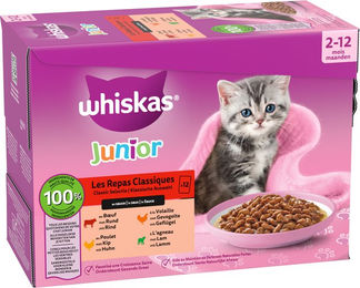 Whiskas Junior Nassfutter Stückchen in Sauce 12 x 85g – Bild 1 von 2