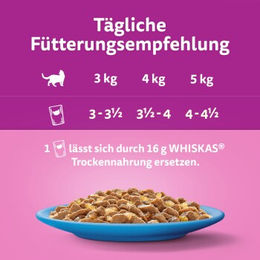 Whiskas Katzen Nassfutter Adult Fisch Stückchen in Gelee Multipack 80 x 85g - 80 x 85 g – Bild 1 von 2