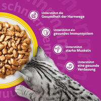 Produktbild von Whiskas Katzen Nassfutter Geflügel Stückchen in Sauce Senior 28x85g - 28 x 85 g