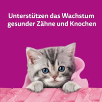 Produktbild von Whiskas Kitten Leckerli Creme Huhn Junior 300 g - 6 x 50 g
