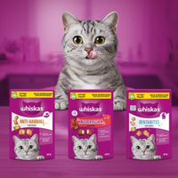Produktbild von Whiskas Knuspertaschen Lachs Leckerli für Katzen 6x60 g - 6 x 60 g