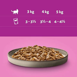 Whiskas Pure Delight Geflügel Ragout in Gelee mit Huhn und Truthahn Katzennassfutter Adult 13x85g - 52 x 85 g – Bild 1 von 3