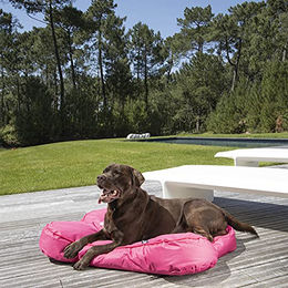 Produktbild von Wicotex Hundekissen Good Dog Knochenform wasserdicht aus Polyester XL Taupe