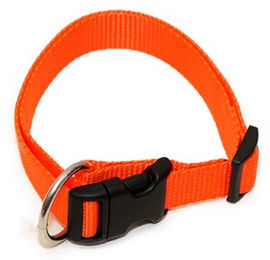 Wienerlock Hundehalsband aus wasserabweisendem Polyamid in Orange 20mm 30-50cm – Bild 1 von 2