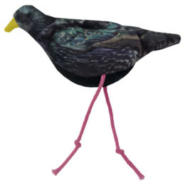 Wild Life Katzenspielzeug Starling aus Stoff mit Catnip in Schwarz – Bild 1 von 3