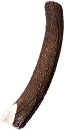 Wildes Land Hirschgeweih Halb Naturkauartikel für Hunde Größe XL – Bild 1 von 3