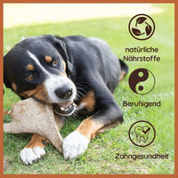 Produktbild von WILDFANG Damhirsch Geweih-Kaustab Monoprotein für Hunde 300g