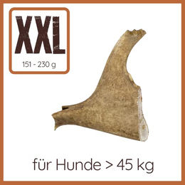 Wildfang Halbe Kaustange aus Rothirsch-Geweih für große Hunde XXL ohne Farb- und Aromastoffe – Bild 1 von 7