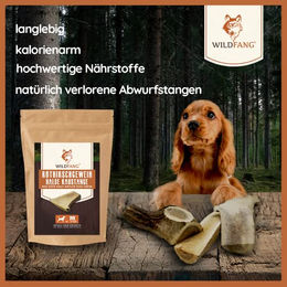Wildfang Halbe Kaustange aus Rothirsch-Geweih Monoprotein Naturkauartikel für große Hunde 160g – Bild 1 von 8